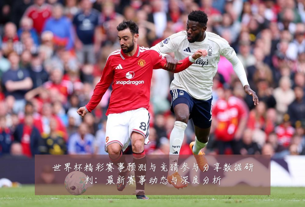 世界杯精彩赛事预测与竞猜参与分享数据研判:最新赛事动态与深度分析